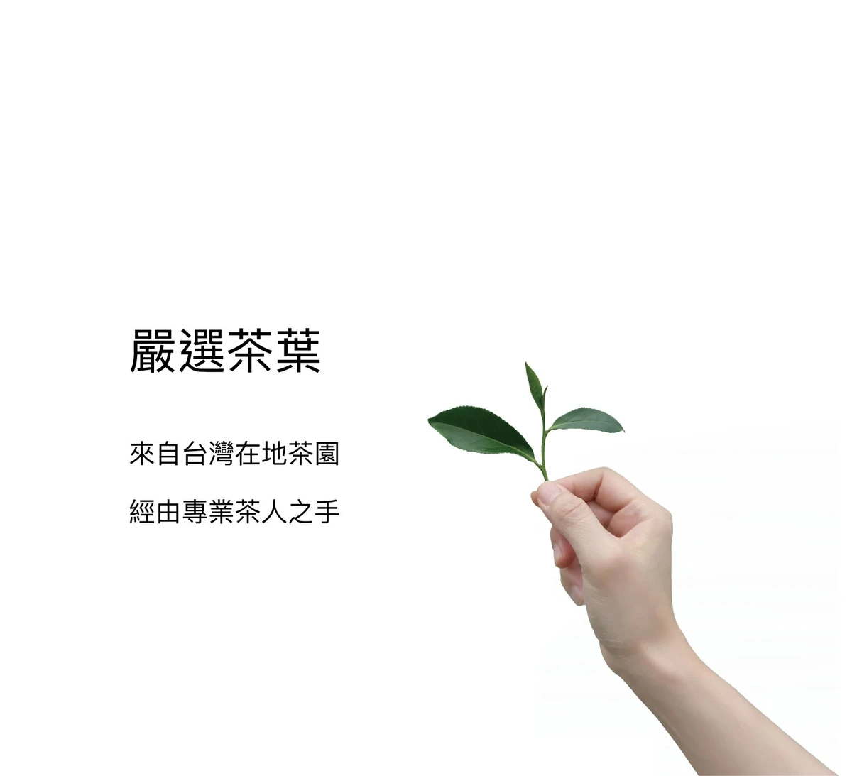 Main banner 01 webp90